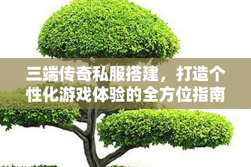 三端传奇私服搭建，打造个性化游戏体验的全方位指南，全方位指南，三端传奇私服搭建，打造个性化游戏体验