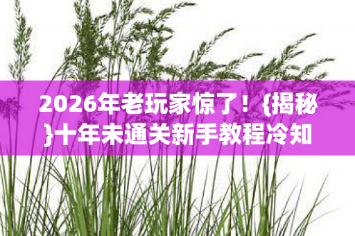 2026年老玩家惊了！{揭秘}十年未通关新手教程冷知识