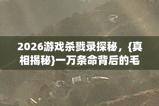 2026游戏杀戮录探秘，{真相揭秘}一万条命背后的毛骨悚然