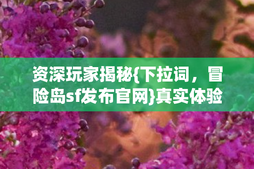冒险岛sf发布官网图片