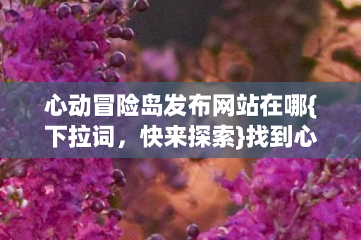 心动冒险岛发布网站在哪图片