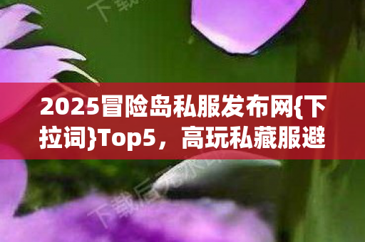 2025冒险岛私服发布网图片