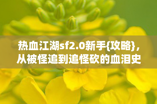 从被怪追到追怪砍的血泪史图片