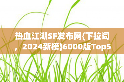 6000版Top5私服避新手坑图片