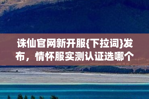情怀服实测认证选哪个图片