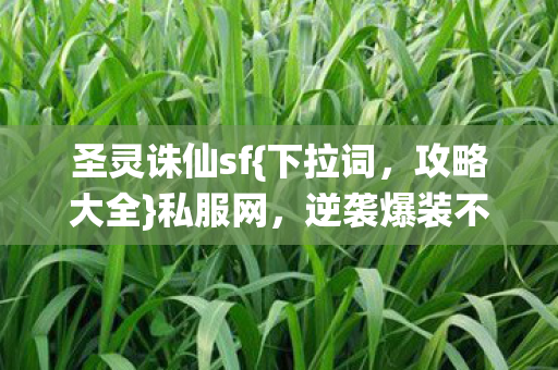逆袭爆装不踩坑图片