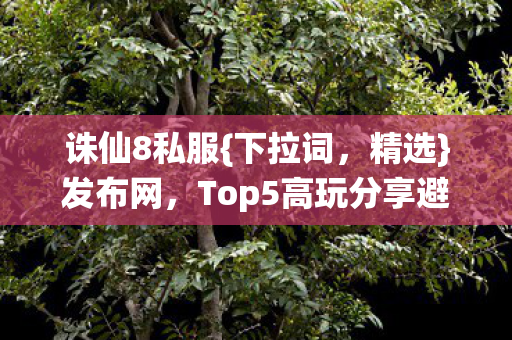 Top5高玩分享避新手雷区图片