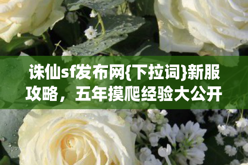 诛仙sf发布网{下拉词}新服攻略，五年摸爬经验大公开