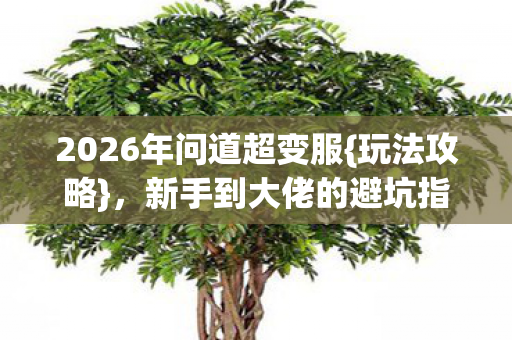 2026年问道超变服{玩法攻略}，新手到大佬的避坑指南
