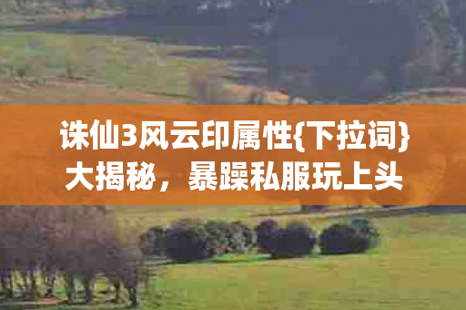 诛仙3风云印属性图片
