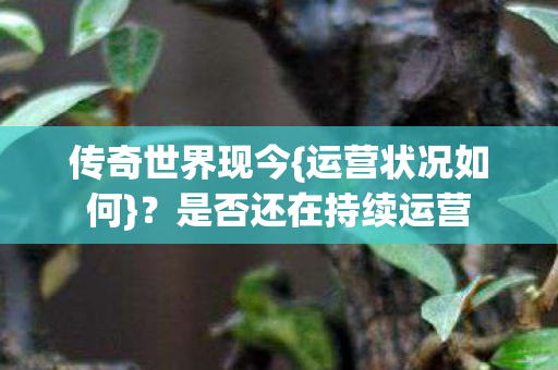 是否还在持续运营图片