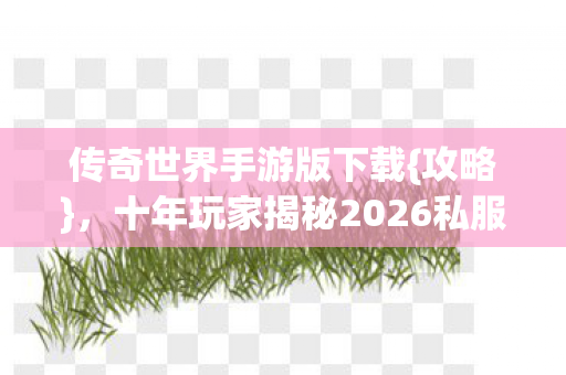 十年玩家揭秘2026私服坑图片