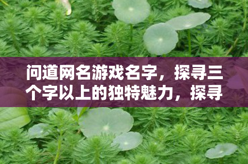 问道网名游戏名字,探寻三个字以上的独特魅力,探寻三个字以上游戏网名的独特魅力 问道网名游戏名字,探寻三个字以上的独特魅力,探寻三个字以上游戏网名的独特魅力