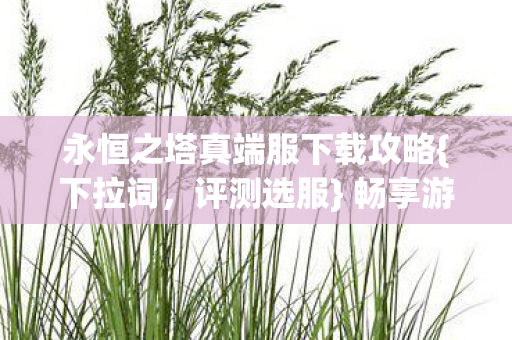 永恒之塔真端服下载攻略{下拉词,评测选服} 畅享游戏乐趣 永恒之塔真端服下载攻略{下拉词,评测选服} 畅享游戏乐趣