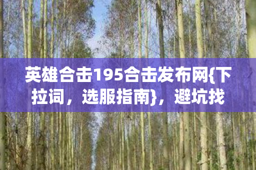 英雄合击195合击发布网{下拉词，选服指南}，避坑找长期服！