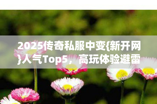 2025传奇私服中变{新开网}人气Top5，高玩体验避雷指南