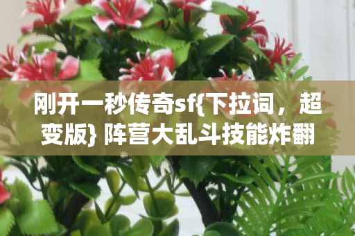 阵营大乱斗技能炸翻全场图片