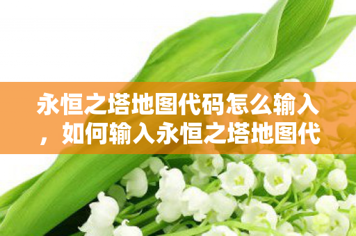 永恒之塔地图代码怎么输入，如何输入永恒之塔地图代码？