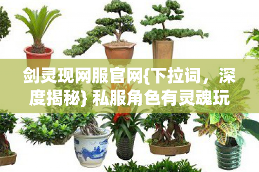 剑灵现网服官网{下拉词，深度揭秘} 私服角色有灵魂玩法超野