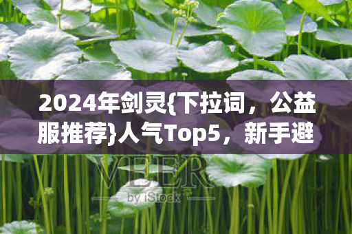2024年剑灵{下拉词，公益服推荐}人气Top5，新手避雷必看