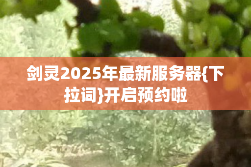 剑灵2025年最新服务器{下拉词}开启预约啦 剑灵2025年最新服务器{下拉词}开启预约啦