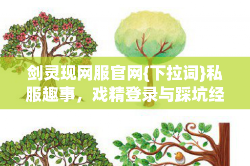 戏精登录与踩坑经历图片
