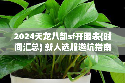 2024天龙八部sf开服表图片