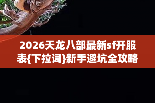 2026天龙八部最新sf开服表图片