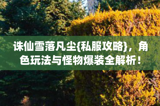 角色玩法与怪物爆装全解析图片