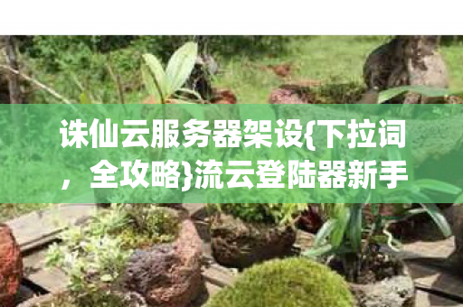 流云登陆器新手避坑指南图片
