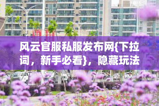 风云官服私服发布网图片
