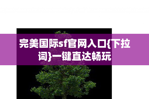 完美国际sf官网入口图片