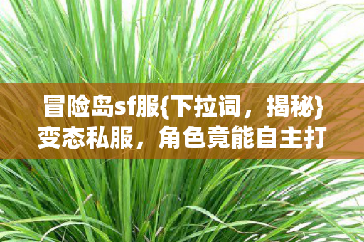 冒险岛sf服{下拉词，揭秘}变态私服，角色竟能自主打怪！