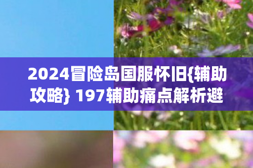 2024冒险岛国服怀旧{辅助攻略} 197辅助痛点解析避负累