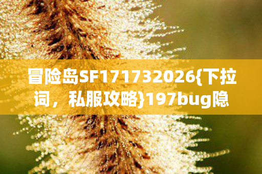 冒险岛SF171732026{下拉词，私服攻略}197bug隐藏玩法新手必看！
