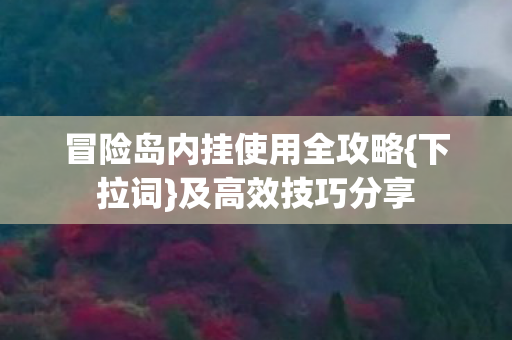 冒险岛内挂使用全攻略{下拉词}及高效技巧分享