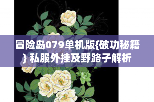 私服外挂及野路子解析图片
