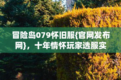 十年情怀玩家选服实测指南图片