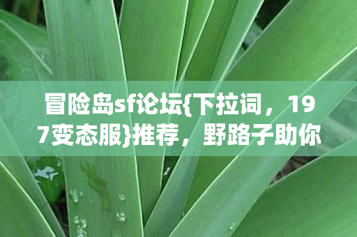 野路子助你轻松蹲阵营图片
