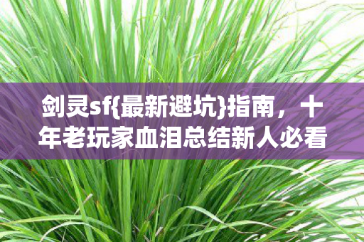 剑灵sf{最新避坑}指南，十年老玩家血泪总结新人必看！