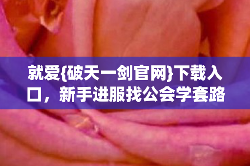 新手进服找公会学套路图片