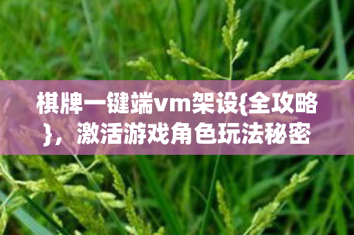 棋牌一键端vm架设{全攻略},激活游戏角色玩法秘密 棋牌一键端vm架设{全攻略},激活游戏角色玩法秘密