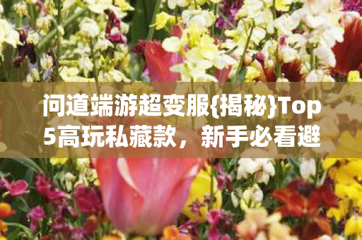 Top5高玩私藏款图片