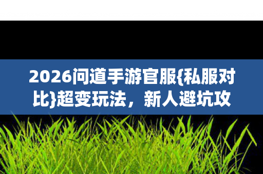 2026问道手游官服{私服对比}超变玩法,新人避坑攻略 2026问道手游官服{私服对比}超变玩法,新人避坑攻略