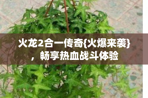 火龙2合一传奇{火爆来袭}，畅享热血战斗体验