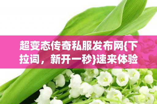 超变态传奇私服发布网{下拉词,新开一秒}速来体验 超变态传奇私服发布网{下拉词,新开一秒}速来体验