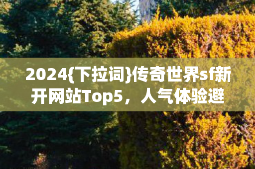 传奇世界sf新开网站Top5图片
