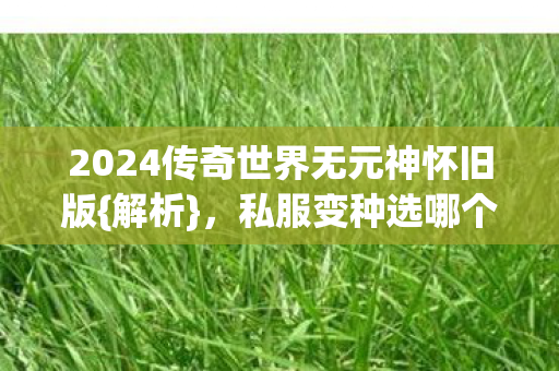 2024传奇世界无元神怀旧版图片