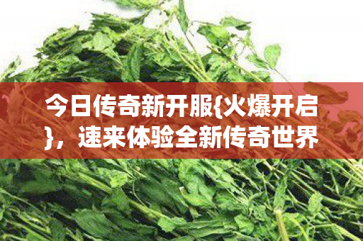 今日传奇新开服{火爆开启}，速来体验全新传奇世界