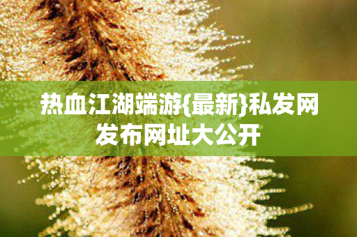 私发网发布网址大公开图片